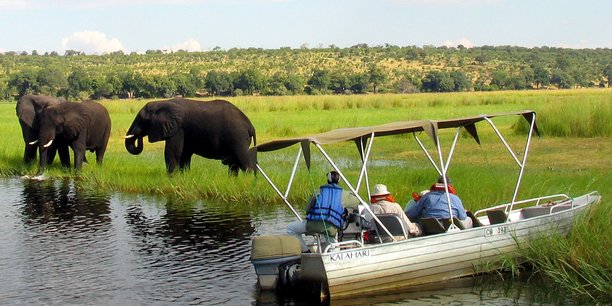 Le Zimbabwe est le deuxième pays africain en termes de population d'éléphants derrière le Botswana, devant la Namibie, la Zambie et l'Angola.