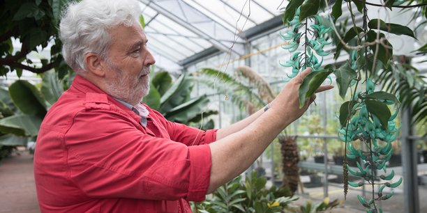 Jean-Gabriel Fouché est le directeur du conservatoire botanique Pierre Fabre à Soual, depuis son ouverture, il y a 21 ans.