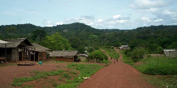 Au Congo, les forêts sont la deuxième ressource naturelle derrière le pétrole.
