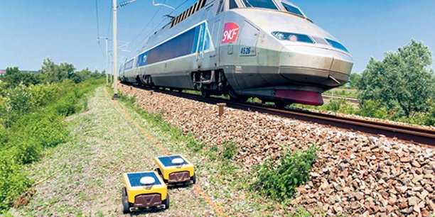 Des robots tondeurs ont été testés le long des voies ferrées.