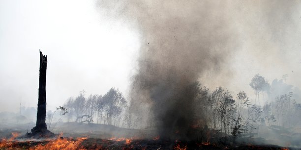 Amazonie: des avions militaires s'activent en appui des pompiers[reuters.com]