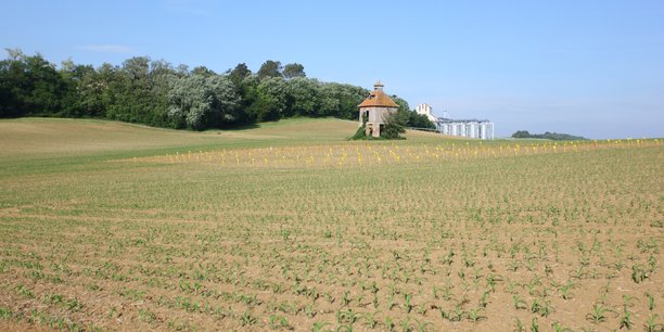 L'Occitanie est depuis quelques années la première région bio de France.