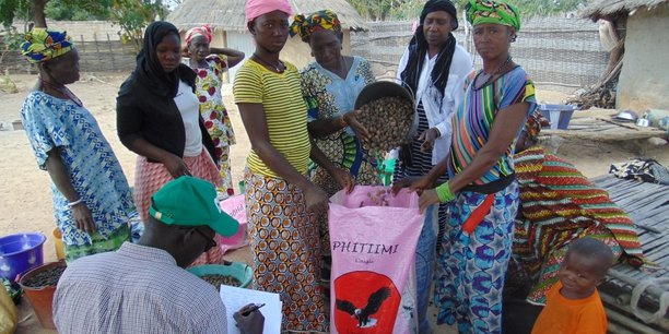 L’Association Femmes pour la Planète lutte contre la pauvreté des femmes africaines en favorisant la culture du karité