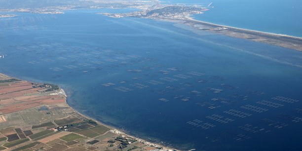 Vue aérienne d'un parc à huîtres, sur le bassin de Thau