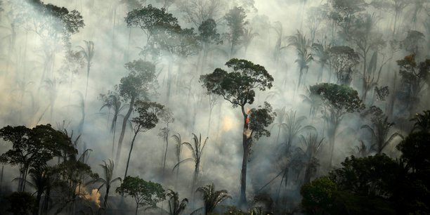 Sur la seule journée du 30 juillet, les satellites ont détecté 1.007 incendies en Amazonie, a indiqué l'INPE, le pire jour pour un mois de juillet depuis 2005, a souligné l'ONG de défense de l'environnement Greenpeace.