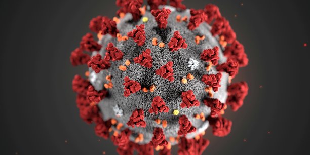 Coronavirus: un premier cas de transmission humaine signale aux usa[reuters.com]