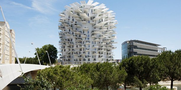 A Montpellier, l'Arbre blanc a généré un intérêt inédit, mettant la ville sous les projecteurs internationaux.