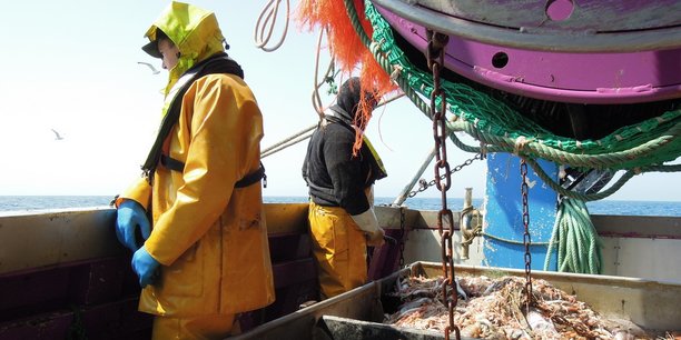 En Pays de la Loire, 370 navires débarquent en moyenne 30.000 tonnes de poissons à haute valeur ajoutée (bar, sole, langoustine, sardines...) chaque année an, pour un chiffre d'affaires annuel de 112 millions d'euros.