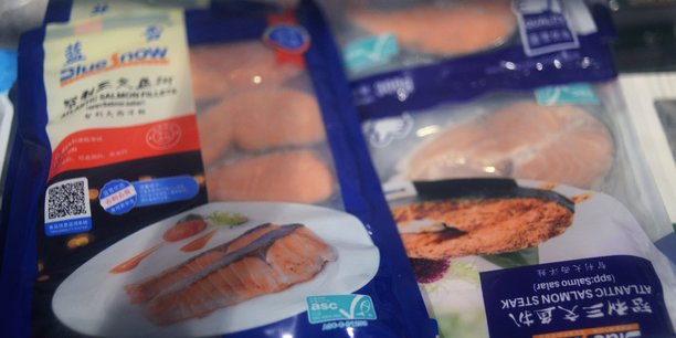 Soulignant qu'aucun cas de contamination par la nourriture n'avait été signalé, les autorités chargées de la sécurité alimentaire en Norvège ont quant à elles déclaré le poisson de ce pays bon à la consommation.