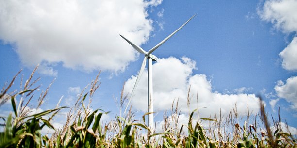 Onze associations attaquent la Région Nouvelle-Aquitaine face aux contradictions entre développement de l'éolien et préservation de la biodiversité.