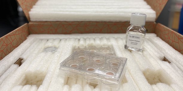 Genoskin a mis au point une technologie pour transporter des échantillons de peau vivante.