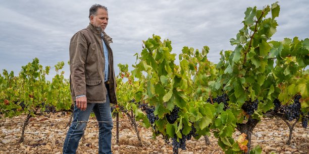 La jeune pousse lyonnaise Oé, créée en 2015, propose du vin biologique, végan et sans pesticides.