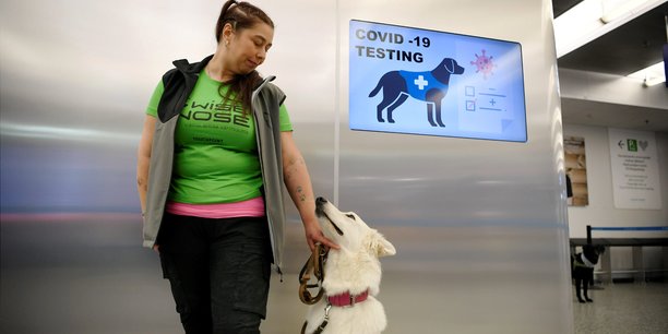 Des chiens entraines a detecter le coronavirus a l'aeroport d'helsinki[reuters.com]