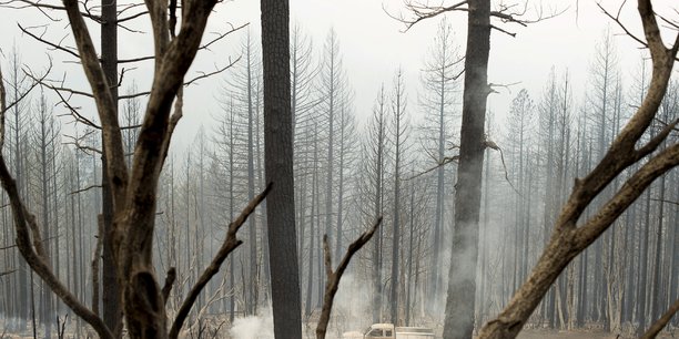 Usa: un feu de foret eclate dans la napa valley, un hopital et des centaines de foyers evacues[reuters.com]