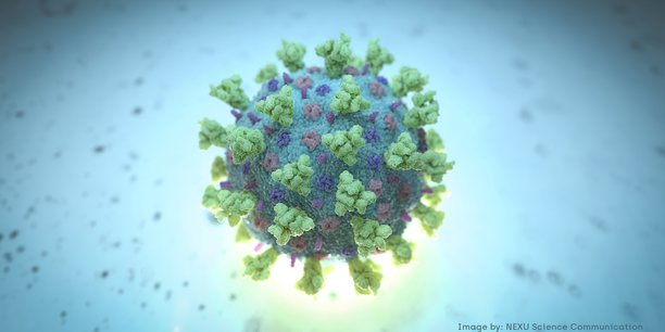Coronavirus: l'humidite reduirait la contamination par aerosol[reuters.com]
