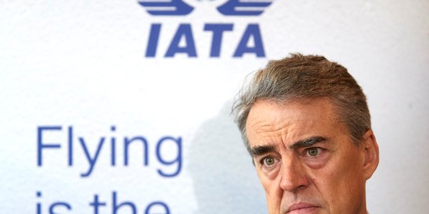 La crise sanitaire va reduire le nombre de compagnies aeriennes, selon iata[reuters.com]