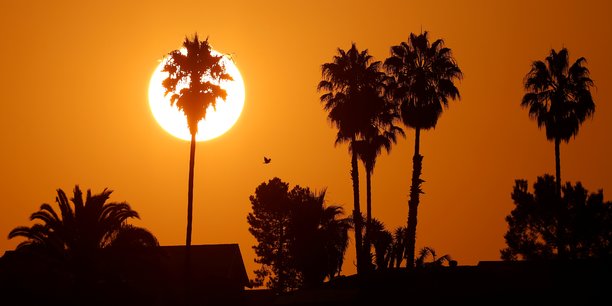 L'annee 2020 en passe de devenir la deuxieme la plus chaude jamais enregistree[reuters.com]
