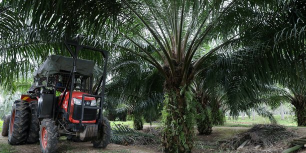 Après le géant du secteur FGV Holdings, l'autre groupe malaisien Sime Darby se voit interdire la vente de son huile de palme aux Etats-Unis.