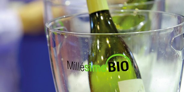 Millésime Bio, le salon mondial des vins bio, a ouvert ses portes digitales le 25 janvier avec 1.000 exposants présents sous forme virtuelle.