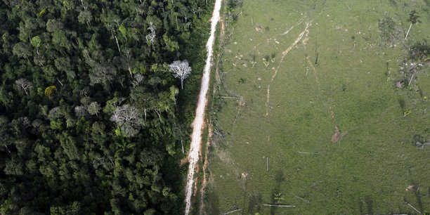 La deforestation en amazonie a augmente en 2020, selon une recente analyse[reuters.com]