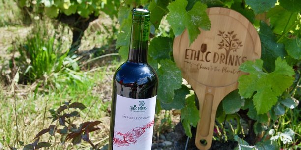 Bouteille allégée, abandon de la capsule et étiquette sans plastique : ce n'est que la partie visible du travail de fond réalisé par EthicDrinks pour compenser l'impact sur l'environnement de son activité de négociant en vin.