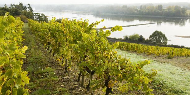 Les Etats-Unis, premier marché à l’export des vins de Loire, leur ont fait perdre entre 50 et 100 millions d’euros en 2020.