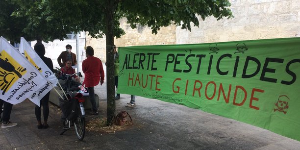 Une manifestation contre l'utilisation de pesticides dans la viticulture à Bordeaux en juillet 2020.