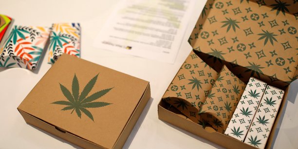 Alors que la France a récemment lancé son expérimentation du cannabis médical, aux Etats-Unis, de jeunes pousses mobilisant les psychédéliques à des fins thérapeutiques remportent les faveurs de Wall Street et des investisseurs californiens.