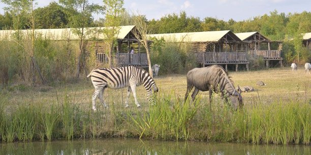 Le 5ème parc d'attractions français, qui possède un zoo réunissant plus de 700 animaux, mise sur un nouveau modèle d'hébergement en immersion en projet depuis plusieurs mois, mais qui pourrait arriver à point nommé pour soutenir sa réouverture.