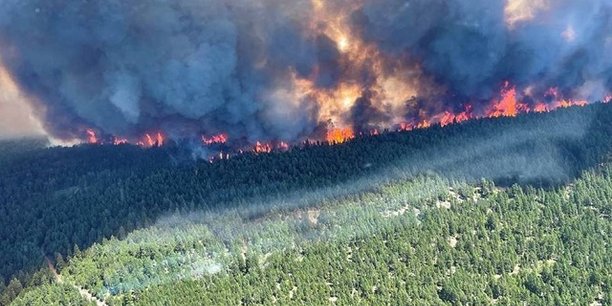 Au Canada, les records de chaleur ont ravagé des forêts entières il y a seulement quelques semaines.