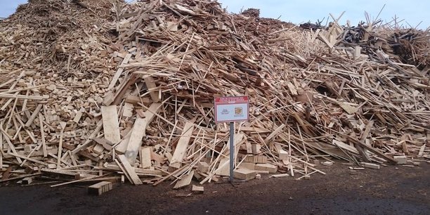 En Pays de La Loire, la consommation de bois énergie atteint 500.000 tonnes en bois déchiqueté pour les chaufferies et 1 millions de bois bûche pour les particuliers.
