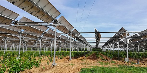 En 2018, le domaine de Nidolères, à Tresserre (66), et la société Sun Agri ont installé 4,5 hectares de structures agri-photovoltaïques dynamiques sous lesquelles ont été plantées des vignes.