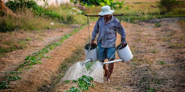 La généralisation des pratiques agroécologiques, supprimant mécanisation excessive et usages des intrants chimiques, nécessitera plus de main d’œuvre dans les champs.