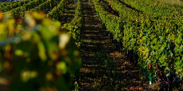 Le classement des vins de Saint-Emilion, dont la nouvelle édition est prévue en 2022, est sous les projecteurs de la justice.