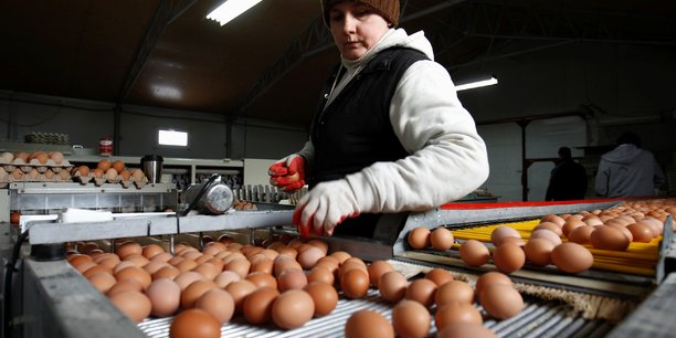 La grippe aviaire touche des elevages de pres de 650.000 volailles en pologne[reuters.com]