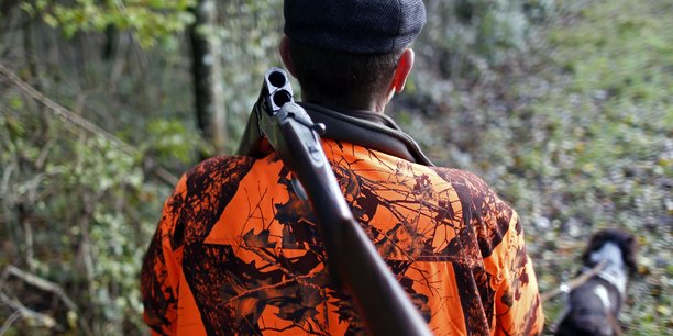 En france, les accidents de chasse provoquent des appels a des restrictions[reuters.com]