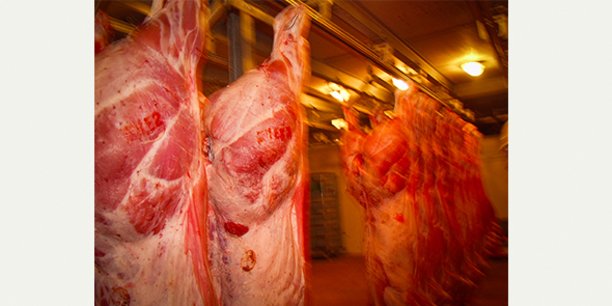 L'abattoir de Quillan, dans l'Aude, tient sur une microfilière viande encore fragile.
