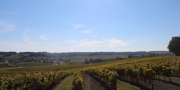 Avec 4,2 millions d'hectares, la Nouvelle-Aquitaine est la région française qui compte la plus grande surface agricole utile.