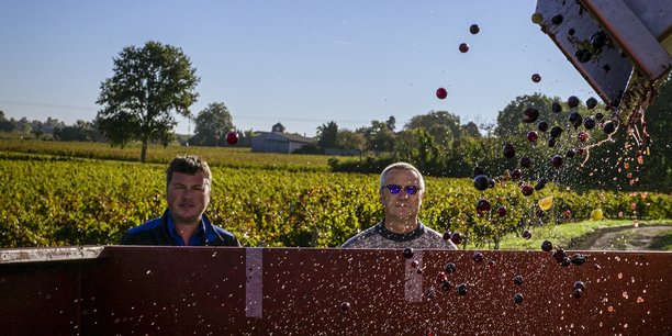Vendanges de vignerons membres du collectif Vignobles Gabriel & Co