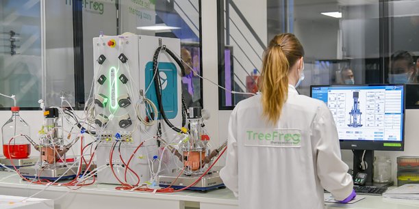 Dans le secteur des biotechnologies de rupture, Treefrog Therapeutics a marqué les esprits avec une levée de fonds de 64 millions d'euros en septembre 2021.