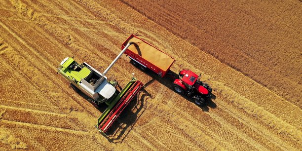 Récolte de blé à Blécourt, dans le département du Nord, en juillet 2021.