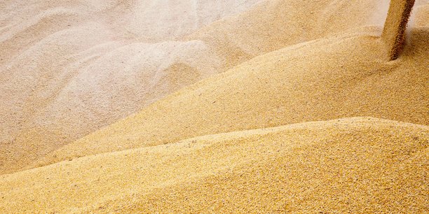 Il est fondamental d'un point de vue géostratégique que l'UE contribue à combler le déficit de production pour faire face à la pénurie mondiale attendue de blé, justifie la commission.