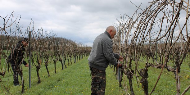 Dans ce village de Charente-Maritime, l'activité est concentrée autour de la viticulture pour la production du Cognac.