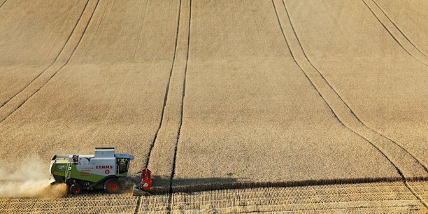 Récolte de blé près du village de Suvorovskaya dans la région de Stavropol en juillet 2021. Avec l'Ukraine, la Russie est l'un des plus gros exportateurs de blé.