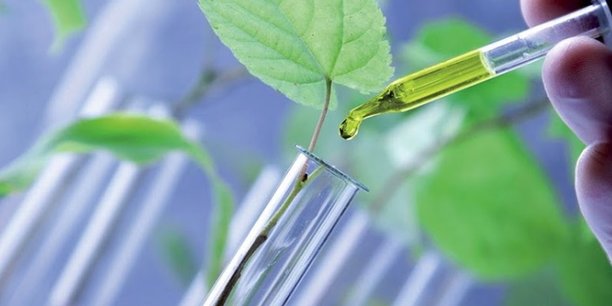 Le Nîmois Phytocontrol rachète All Phyto, spécialisé dans le contrôle qualité des plantes médicinales, épices, aromates et ingrédients d'origine naturelle.
