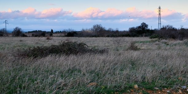 Il existe environ 100 000 hectares de friches en Occitanie comme ici dans l'Aude