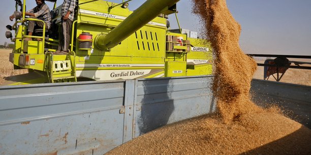 Les cours du blé devraient augmenter de plus de 40 % et atteindre un niveau record en valeur nominale cette année, ce qui pénalisera les économies en développement qui dépendent des importations, notamment en provenance de Russie et d'Ukraine, indique la Banque mondiale dans son rapport sur les perspectives des marchés des matières premières.