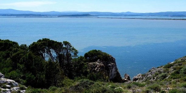 Le Parlement de la Mer a vocation à fédérer la communauté maritime du littoral occitan.