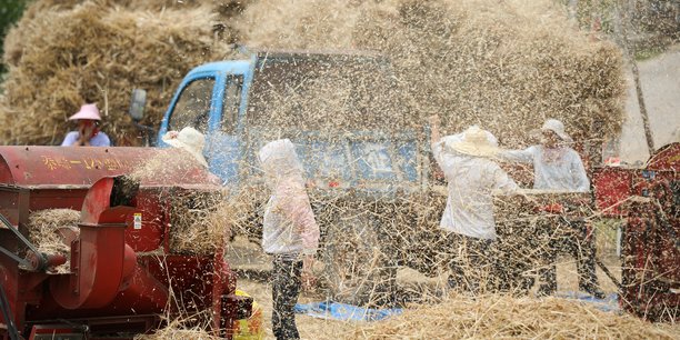 En Chine, par peur des contaminations au Covid, certains villages empêchent les étrangers d'entrer. C'est pourquoi le Premier ministre chinois Li Keqian a exigé, pour garantir de bonnes récoltes, un accès sans entrave de la main-d'œuvre et des machines dans les provinces du pays productrices de blé. (Photo:  le 5 juin 2019, scène de moisson dans une ferme de Zaozhuang, province du Shandong.)