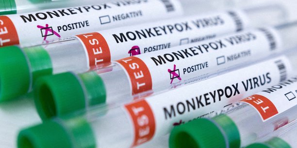 Plus de 6.000 cas de variole du singe recenses, nouvelle reunion d'urgence de l'oms[reuters.com]